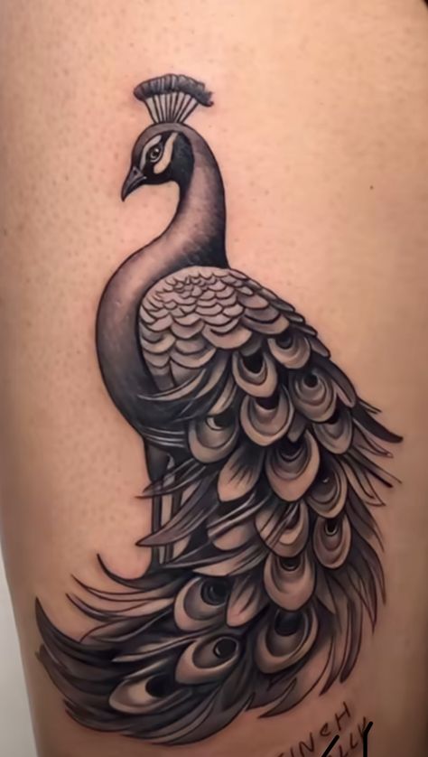 Black And Grey Peacock Tattoo, Peacock Tattoo Designs For Women, Jamaican Tattoo Ideas For Men, Peacock Tattoo Men, Peacock Tattoo Black And White, Bapu Tattoo, Punjab Tattoo, Mor Pankh Tattoo, Peacock Tattoo Design