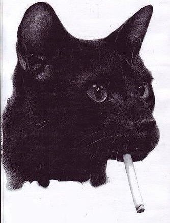 Smoking Cat Jamel Shabazz, Bad Cats, A Black Cat, Crazy Cat Lady, Crazy Cats, Wabi Sabi, Cool Cats, Cat Art, A Black