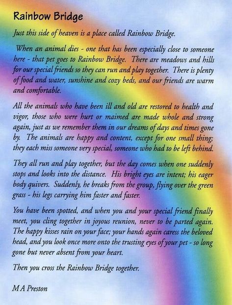 Pet Poems, Tattoo Dog, Cat Memorial, Dog Tattoos, Dog Memorial, Over The Rainbow, Pet Loss, In Loving Memory, A Rainbow