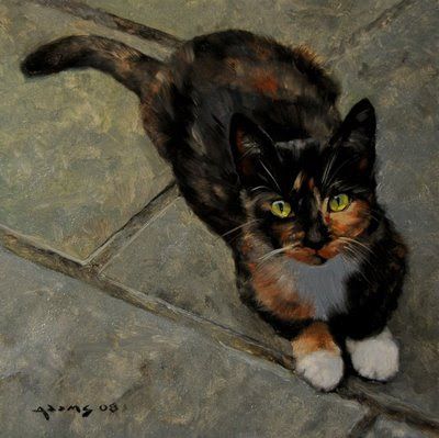 Tortoise Shell Cat Painting, Tortoiseshell Cat Art, Tortoiseshell Cat Drawing, Tortoise Cats, Cats Calico, Mark Adams, Tortoiseshell Cats, Baby Dragon Art, Tortie Cats