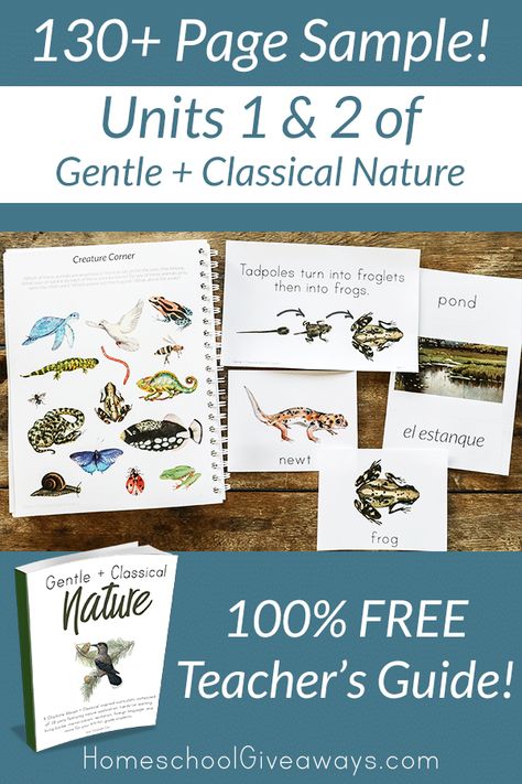 130+ Pages of FREE Nature Curriculum - Homeschool Giveaways Morning Binder, Life Abundantly, Preschool Curriculum Free, Homeschool Materials, Homeschool Nature Study, Life Cycles Activities, Nature Studies, Preschool Programs, Kindergarten Readiness