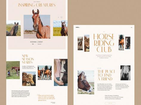 Horse Riding Club Website Design by tubik on Dribbble Horse Presentation Ideas, Horse Infographic, Horse Branding Design, Horse Graphic Design, Equestrian Branding, Horse Branding, Equestrian Website Design, Horse Club, What Is Design