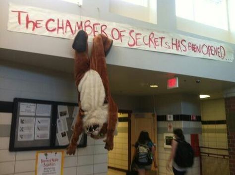 Senior prank day!!!!!!!! Best Senior Pranks, School Pranks, Image Meme, Senior Pranks, Chamber Of Secrets, Mischief Managed, Harry Potter Memes, Funny Love, Funny Pranks