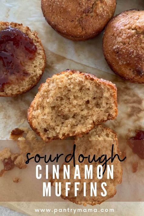 Sourdough Cinnamon Muffins Sourdough Cinnamon Muffins Recipe, No Wait Sourdough Muffins, Sourdough Starter Discard Muffins, Cinnamon Sourdough Muffins, Sourdough Starter Muffin Recipes, Sourdough Applesauce Muffins, Easy Sourdough Muffins, Sourdough Apple Cinnamon Muffins, Sourdough Discard Cinnamon Muffins