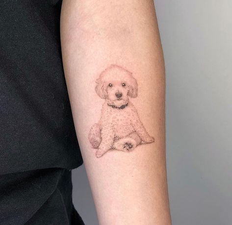 Toy Poodle Tattoo Outline, Miniature Poodle Tattoo, Goldendoodle Tattoo Ideas, Maltese Tattoo Minimalist, Maltipoo Tattoo Ideas, Fluffy Dog Tattoo, Cavapoo Tattoo, Maltipoo Tattoo, Cockapoo Tattoo