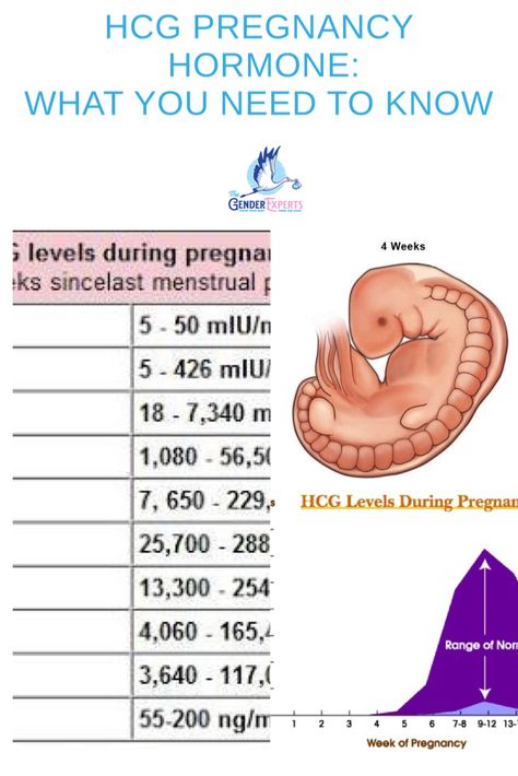 All you need to know about the HCG pregnancy hornone Hcg Levels Chart Early Pregnancy, Hcg Levels By Week Pregnancy, Pregnancy Date, Hcg Drops, Hcg Levels, Early Stages Of Pregnancy, Ectopic Pregnancy, Progesterone Levels, Gender Prediction