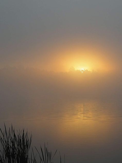 Sun Beaming Through Fog, Rainstorm Painting, Fog Sunrise, Sunrise River, Eagle River Wisconsin, Fishing Painting, Sunrise Drawing, Foggy Sunrise, Photos Landscape