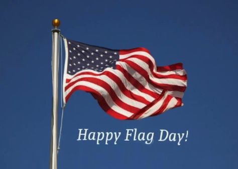 Flag Day Quotes, Us Army Birthday, Happy Flag Day, Flag Etiquette, Patriotic Poems, Army's Birthday, Flag Code, Strong Symbol, Flag Day