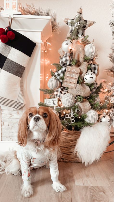 Christmas Tree For Dogs, Pet Themed Christmas Tree, Dog Christmas Tree Ideas, Puppy Christmas Tree, Dog Themed Christmas Tree Ideas, Dog Theme Christmas Tree, Dog Themed Christmas Tree, Pet Christmas Tree, Veterinary Nursing