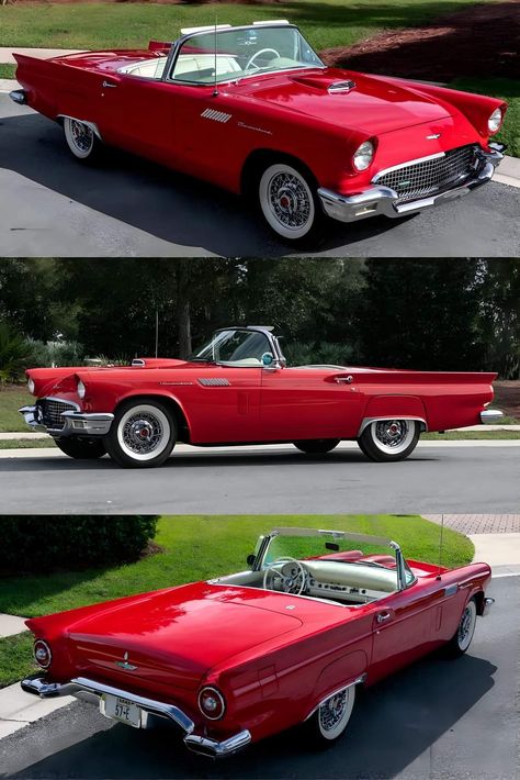 1957 Ford Thunderbird E-Code Convertible 1957 Ford Thunderbird Convertible, Thunderbird Car 1957, Vintage Cabriolet, Ford Thunderbird 1955, 1957 Thunderbird, Thunderbird Car, 1957 Ford Thunderbird, Classic Car Garage, Automotive Illustration