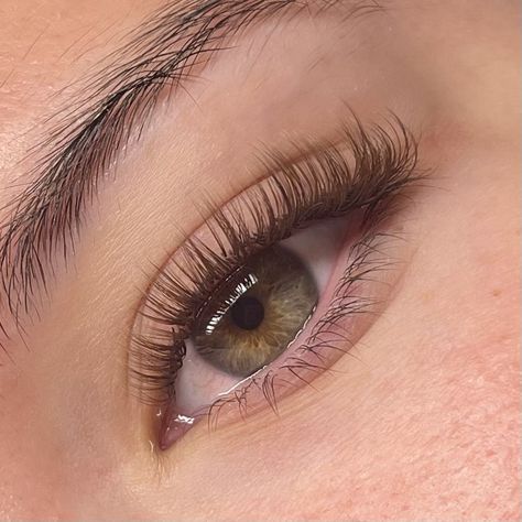 Brown eyelash extensions #eyelashes Super Natural Lashes Extensions, 8mm Lash Extensions, Classic Natural Eyelash Extensions Short, Natural Lash Extensions Brown, Classic Brown Lash Extensions, Super Natural Eyelash Extensions, Brown Eyelash Extensions Natural, Dark Brown Eyelash Extensions, Brown Wispy Lash Extensions