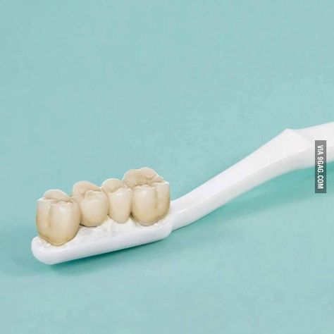 A Real toothbrush Sikat Gigi, Arte Peculiar, Art Appliqué, Weird Images, Foto Art, Surrealism, Brushing Teeth, Funny Pictures, Funny Memes