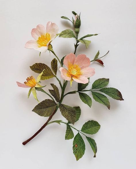 peachy Healthier Food, Crepe Paper Flowers, Plant Flower, Pink And Yellow, In The Wild, Flowers Nature, Flowers Diy, Flower Photos, Healthy Options