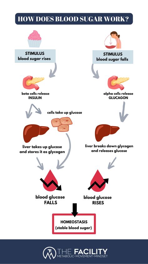 Lower Blood Sugar Naturally, Lime Water, Blood Sugar Diet, Water Benefits, Blood Sugar Management, Blood Glucose Levels, Blood Sugar Control, High Blood Sugar, Lower Blood Sugar