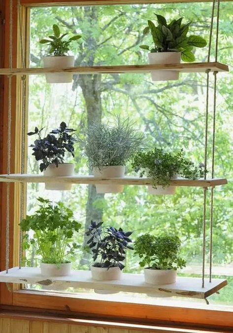 20 Practical Indoor Window Shelf Ideas for Plants | Balcony Garden Web Window Plant Shelves Diy, Indoor Window Planter, Dollar Store Decorating, Window Shelf For Plants, Plant Shelf Ideas, Shelf For Plants, Window Herb Garden, Window Plant Shelf, Vine Ideas