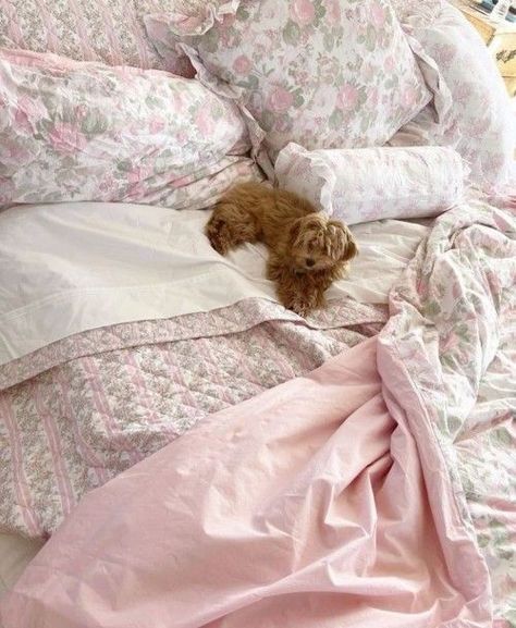 Soft Life Era, A Soft Life, Strawberry Cookie, Puppy Bed, Love Shack Fancy, Pink Aura, Aesthetic Moodboard, Soft Life, Room Inspiration Bedroom