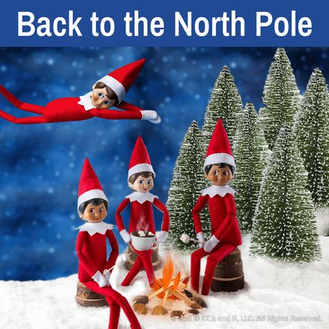 What do elves do at the North Pole | Elf on the Shelf | Elf on a Shelf Pictures Of Elves, Bad Elf, Elf Pets, Shelf Elf, Santa North Pole, Treat Toppers, The Elf On The Shelf, Elf Movie, Girl Elf