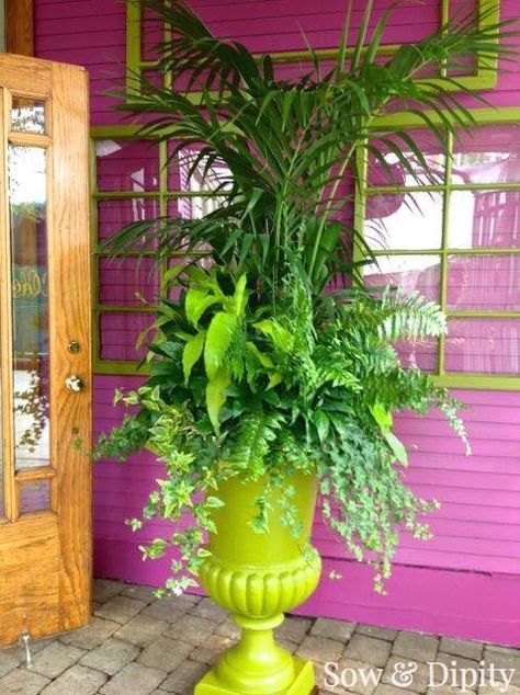 All Green Garden Design - how to create gorgeous planters with all green plants! Planter Design Ideas, Mexican Backyard, Landscape Planters, Extra Large Planters, Big Planters, Urn Arrangements, Planting Plants, Container Planting, Container Ideas