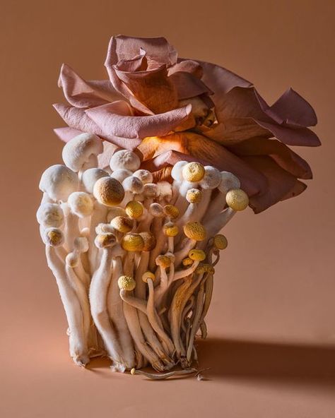 Flower Arrangements With Mushrooms, Paper Set Design, Vegetable Composition, Mushroom Bouquet, Vegas Wedding Bouquet, Suzanne Saroff, Dark Candle, Food Centerpieces, Oyster Mushroom Photography