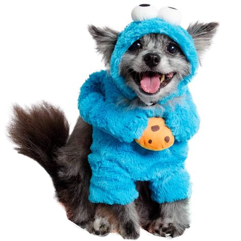 Pet Krewe Unleash The Parade Cookie Monster Dog Costume Sesame Street Pet Costumes for Small Dogs (As an Amazon Associate I earn from qualifying purchases) Best Dog Halloween Costumes, Cookie Monster Costume, Monster Costumes, Sesame Street Cookie Monster, Knit Dog Sweater, Dog Halloween Costumes, Cute Halloween Costumes, Dog Costumes, Dog Costume