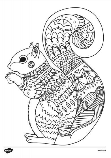 This lovely set of colouring sheets feature a selection of different images all related to autumn. Great for a variety of activities, you can use them to reinforce fine motor skills, as inspiration for independent writing, or just for fun! These printable colouring sheets are great for the fall months. #twinkl #twinklparents #squirrel #colouringpages #printable #mindfulness #colouring Autumn Colouring Pages, Happy Coloring Pages, Squirrel Printable, Colouring Templates, Mindfulness Colouring Sheets, Squirrel Coloring Page, Zentangle Animals, Mindfulness Colouring, Doodle Art Flowers