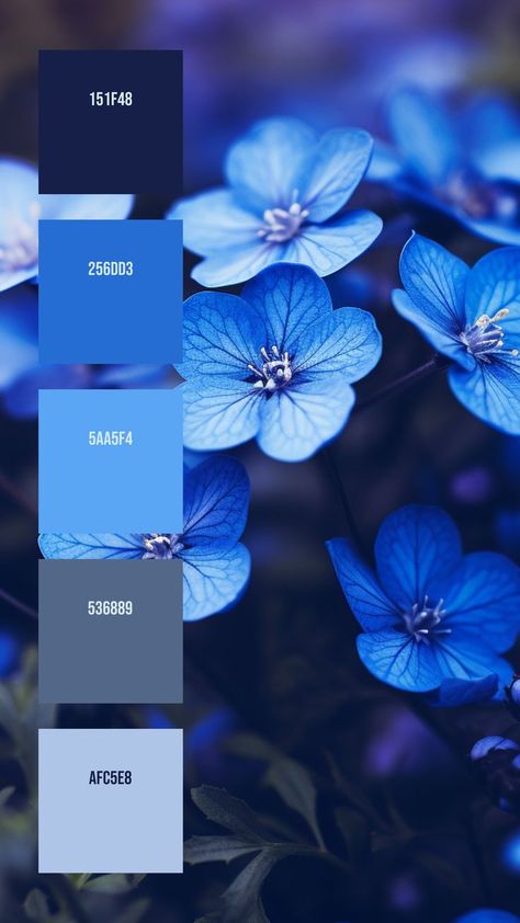 Colors: 151F48 ° 256DD3 ° 5AA5F4 ° 536889 ° AFC5E8 All Blue Color Palette, Carolina Blue Color Palette, Azure Blue Color Palette, Light Blue And Black Color Palette, Dark Blue Complementary Colors, Blueberry Color Aesthetic, Rich Blue Color Palette, Blue Gradient Palette, Sapphire Blue Color Palette