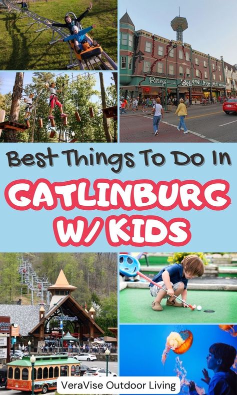 Best Things To Do In Gatlinburg With Kids Things To Do In Gatlinburg, Mountain Coaster, Ober Gatlinburg, Best Amusement Parks, Gatlinburg Vacation, Photo Scavenger Hunt, Gatlinburg Tennessee, Family Resorts, Great Smoky Mountains National Park