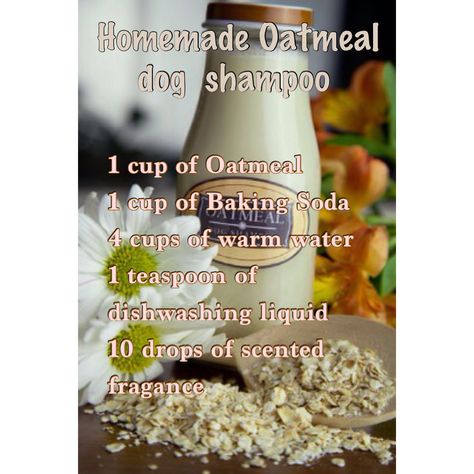 Homade Oatmeal Dogs Shampoo - Tap the pin for the most adorable pawtastic fur baby apparel! You'll love the dog clothes and cat clothes! <3 Shampoo Homemade, Diy Dog Shampoo, Homemade Dog Shampoo, Dog Shampoo Bar, Best Dog Shampoo, Oatmeal Dog Shampoo, Ideas For Dogs, Dog Conditioner, Dog Remedies