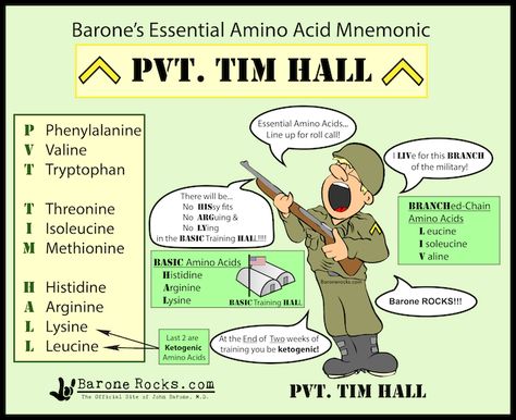 Essential Amino Acid Mnemonic Essential Amino Acids Mnemonic, Acid Base, Hissy Fit, Study Essentials, Athletic Training, Med School, Biochemistry, Amino Acids, Study Tips