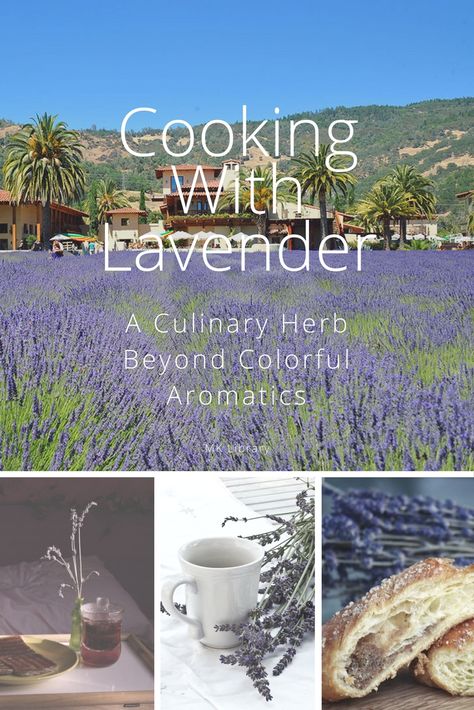 Cooking With Lavender, Recipes With Lavender, Lavender Leaves, Cooking Herbs, Lavender Recipes, Lavender Syrup, Culinary Lavender, Growing Lavender, Lavender Honey