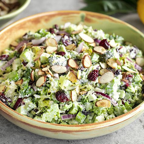 Enjoy this super crunchy and delicious salad. Crisp raw broccoli tossed with Super Superkraut, dried cranberries, almonds, red onion and a zesty creamy dressing. Sauerkraut Meatballs, Salad Cranberries, Kimchi Recipes, Sauerkraut Salad, Raw Sauerkraut, Broccoli Stalk, Raw Broccoli, Paleo Salads, Sauerkraut Recipes