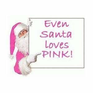 Even Santa loves  Pink! Mary Kay Pink Friday, Christmas Promo, Selling Ideas, Pink Xmas, Pink Cadillac, I Believe In Pink, Pink Christmas Decorations, Pink Holiday, Pink Life