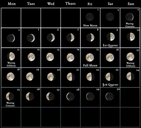 2024 Moon Calendar - every phase and stage of the moon Moon Stages, Moon Map, New Moon Phase, Moon Meaning, Moon Names, Moon Orbit, Next Full Moon, Moon Phase Calendar, Lunar Phases