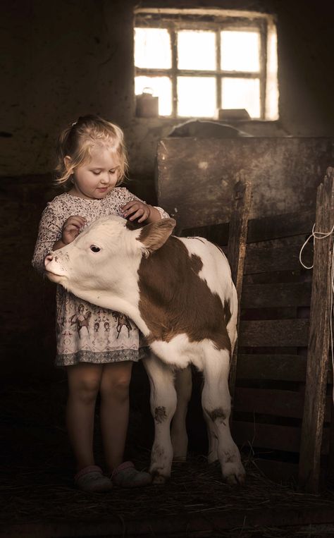 https://flic.kr/p/2aqgtdx | on the farm Country Kids, Baby Cows, A Cow, Cute Cows, Guinea Pig, The Farm, Country Life, Animals Friends, Animals For Kids