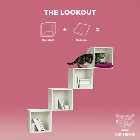 Whiskas Australia hacked a series of fun IKEA hacks for cats. Would your cat love them? The Hammock See how minimalist design can meet maximum feline comfort in just a few simple steps.   1 x VITTSJÖ Hammock Hacks, Diy Kallax, Ikea Cat, Katt Diy, Diy Chat, Katt Grejer, Kat Diy, Cats Furniture, Cat Hacks