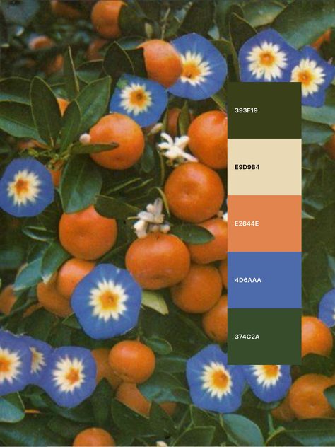 Colour Palette With Forest Green, Cream Orange Color Palette, Flower Colour Scheme, Green Orange Brown Wedding, Green Orange Tan Color Palette, Dark Blue Green Orange Color Palette, Blue Green Orange Yellow Color Palette, Talavera Color Palette, Clementine Color Palette