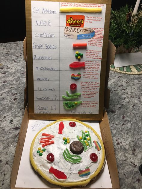 Edible animal cell Plant Cell Made Out Of Food, Organelle Cell Project, Cell Edible Project, Edible Cells Project, Animal Cell Model Edible, Animal Cell Diagram Labeled, Edible Plant Cell Model, Animal Plant Cell Project, Creative Cell Model Project