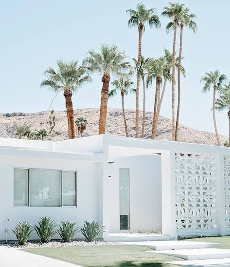 Palm Springs Decor Mid Century, Palm Springs House Exterior, Palm Springs Style Interior, Palm Springs Exterior, Hampton Decor, Palm Springs Houses, Palm Springs Decor, Luxury Pools Backyard, House Renos