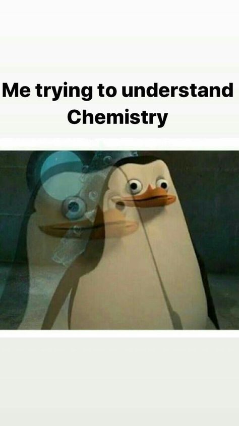 Studies Funny Memes, Maths Funny Meme Student, Chemistry Exam Funny, Chemistry Exam Memes Humor, Funny Science Jokes Chemistry, Science Exam Funny, Studying Memes Humor, Funny Biology Memes, Science Memes Student