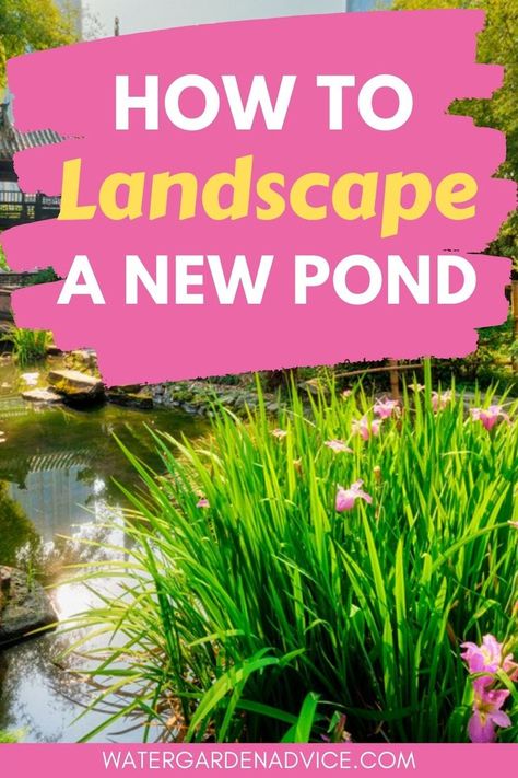 Above Ground Pond, Small Backyard Ponds, Diy Ponds Backyard, How To Landscape, Indoor Pond, Fish Pond Gardens, Farm Pond, Building A Pond, Goldfish Pond