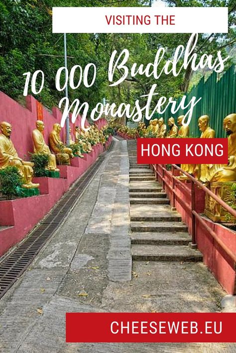 We visit the incredible 10000 Buddhas Monastery in Hong Kong's New Territories. The trip was not without its challenges and we learned a few lessons the hard way. Perth Travel, Hong Kong Travel Guide, China Travel Guide, Travel Secrets, South Korea Travel, Taiwan Travel, Hong Kong Travel, Travel Plan, Travel Pics