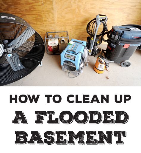 Whether heavy rain or a busted pipe has left you with a few inches of water in your basement, it should be cleaned up promptly and safely. Cleaning up a flooded basement can seem like a daunting task, you may not know where to start. Here is a basic guide on how to clean up a flooded basement. Flood Mitigation, Wet Basement, Old Basement, Flooded Basement, Cleaning Mold, Basement Remodel Diy, How Do You Clean, Diy Water, Cleaning Wood