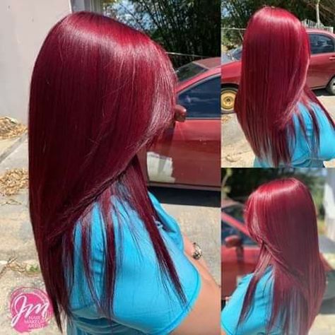 Unique Red Hair Color Ideas, Crimson Hair Color, All Red Hair, Blood Red Hair Color, Red Hair Tips, Blood Red Hair, Baby Ferrets, Red Hair Looks, Curly Color