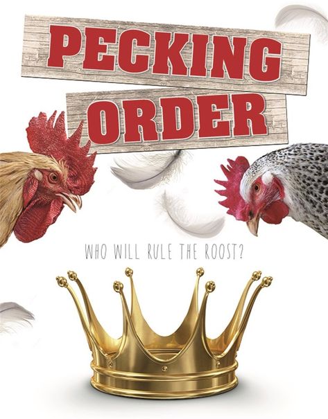 Understanding The Pecking Order – Bitchin' Chickens Chicken Flock, Pecking Order, Wire Dog Crates, Enrichment Activities, Backyard Chickens, Nesting Boxes, Chickens Backyard, Dog Crate, Farm Life