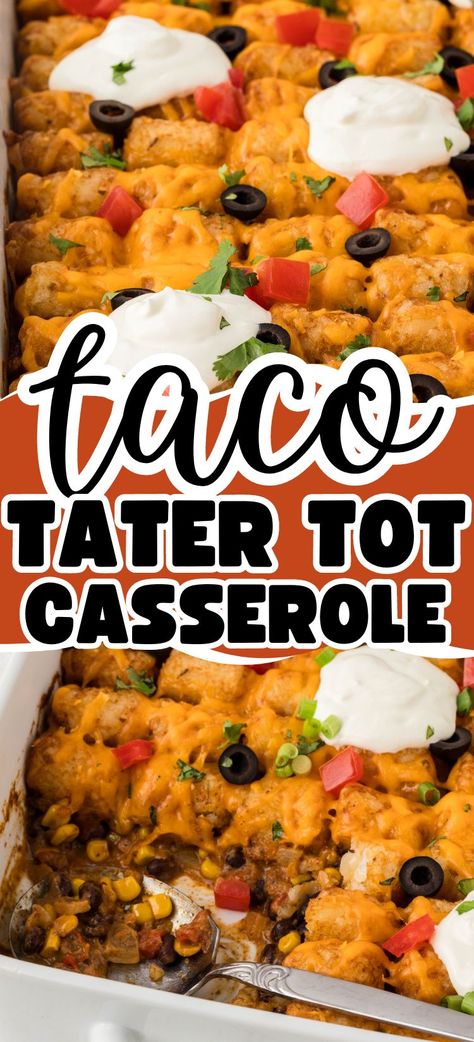 Tater Tot Taco Casserole will be your new favorite way to enjoy taco night! Tater taco casserole has layers of a Mexican mixture of taco meat, crispy tater tots, and lots of cheesy goodness! It's a one pan casserole dinner that the whole family loves. Taco Tots Pioneer Woman, One Pan Casserole, Tater Taco Casserole, Taco Hotdish, Tater Tot Taco Casserole, Tater Tot Taco, Crowd Meals, Taco Tater Tot Casserole, Mexican Tater Tot Casserole