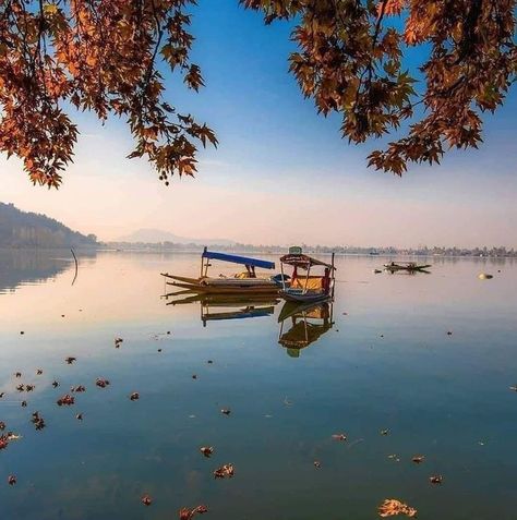 #chill #love #relax #musi#summer #nature #mood #fun #photography #photooftheday #goodvibes Kashmir Tourism, Srinagar, Jammu And Kashmir, Beautiful Images Nature, Paradise On Earth, Beautiful Places Nature, Famous Places, Incredible India, India Travel