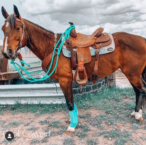 Turquoise Horse Tack, Barrel Horse Tack, Horse Stuff Western, Horses Barrel Racing, Pretty Horse Tack, Cute Horse Tack, Western Horse Tack Turquoise, Horse Tack Western, Western Tack Sets