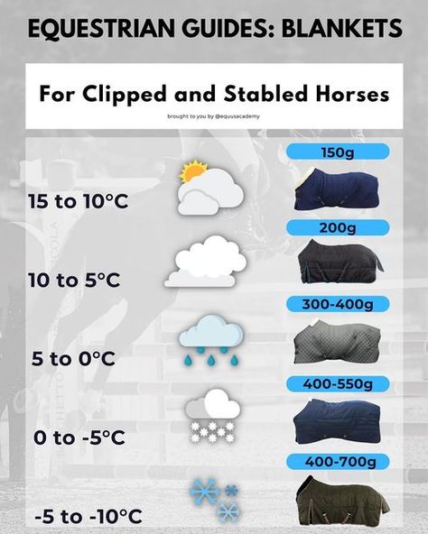 Horse Blanketing Guide, Horse Training Program, Horse Blankets Winter, Horse Things, Horse Trainer, Horse Blankets, The Hours, Winter Diy, Show Jumping