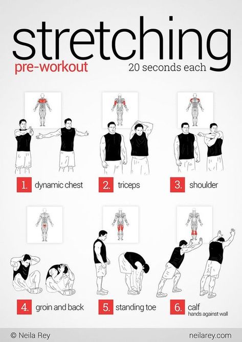 Pre Workout Stretches, Stretches Before Workout, Before Workout, Cardio Pilates, Pilates Workout Plan, Motivasi Diet, Metabolism Diet, Arm Stretches, Gym Workout Planner