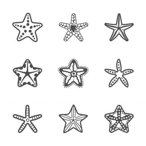 Discover thousands of Premium vectors available in AI and EPS formats Starfish Drawing, Starfish Tattoo, Sea Starfish, Sea Tattoo, Fish Silhouette, Sea Stars, Ocean Tattoos, Stella Marina, Vector Shapes